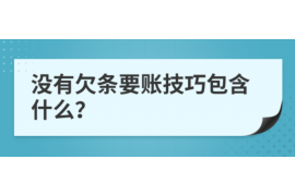 垦利为什么选择专业追讨公司来处理您的债务纠纷？